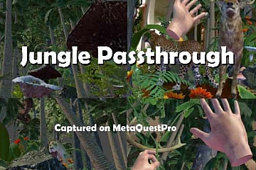 Oculus Quest 游戏《丛林穿越》Jungle Passthrough VR